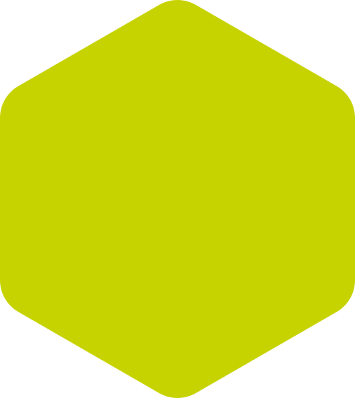 https://www.neogas.it/wp-content/uploads/2022/01/hexagon-green-huge.png